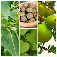 Aurvedic herbs