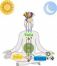 Aurvedic body type